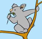 Dibujo Koala pintado por ana