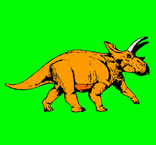 Triceratops