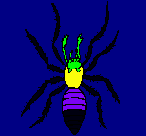 Araña tigre