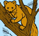 Dibujo Marta europea en el árbol pintado por leo