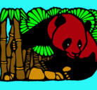 Dibujo Oso panda y bambú pintado por ainhoa