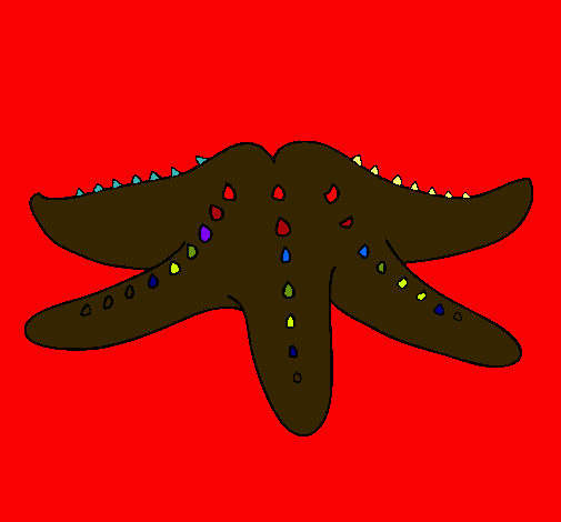 Estrella de mar