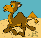 Dibujo Camello pintado por adam