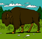 Dibujo Búfalo  pintado por gera