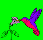Dibujo Colibrí y una flor pintado por ana  lizeth