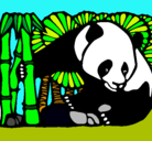Dibujo Oso panda y bambú pintado por n@di@