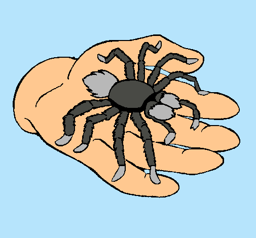 Tarántula