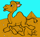 Dibujo Camello pintado por romero