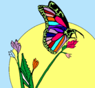 Dibujo Mariposa en una rama pintado por olga