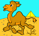 Dibujo Camello pintado por camila ortiz