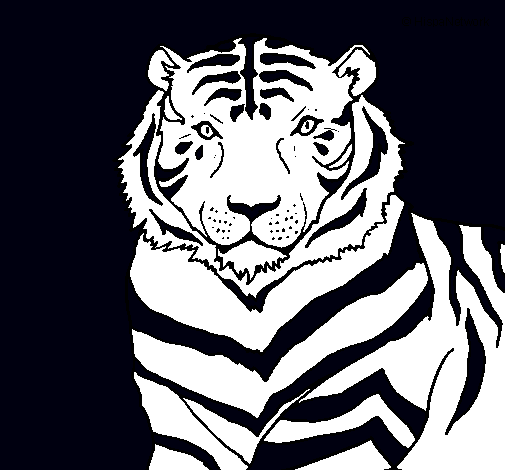 Dibujo Tigre pintado por LauraLopez