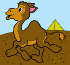 Dibujo Camello pintado por andrei
