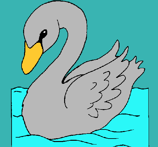 Cisne