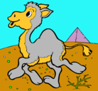 Dibujo Camello pintado por Esperanza