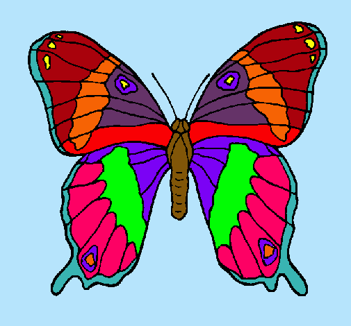 Mariposa