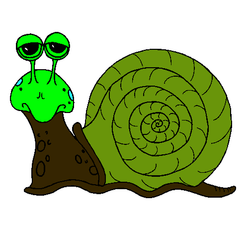 Caracol