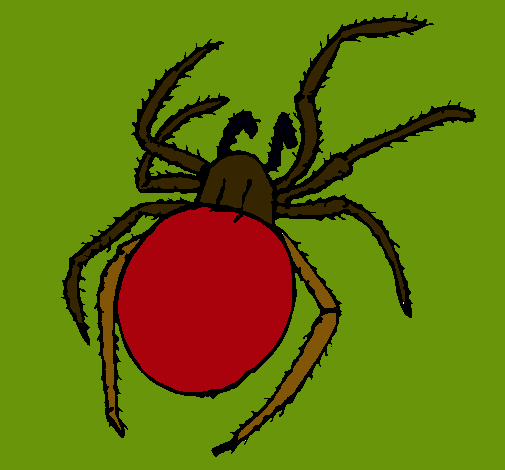 Araña venenosa