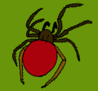 Dibujo Araña venenosa pintado por wwwww