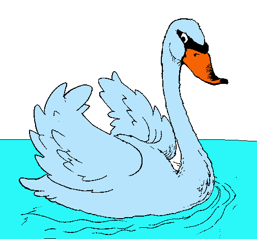 Cisne en el agua