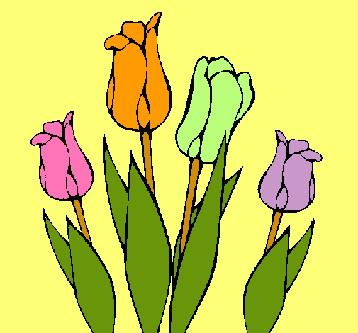 Tulipanes