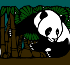 Dibujo Oso panda y bambú pintado por livi