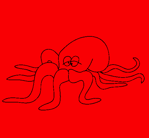 Pulpo