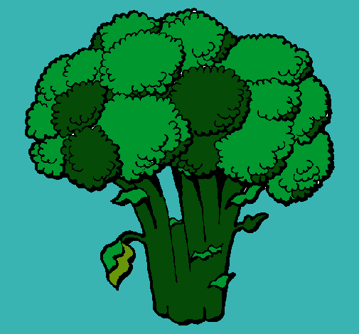 Dibujo Brócoli pintado por jordi 