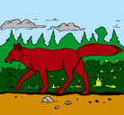 Dibujo Coyote pintado por agustin
