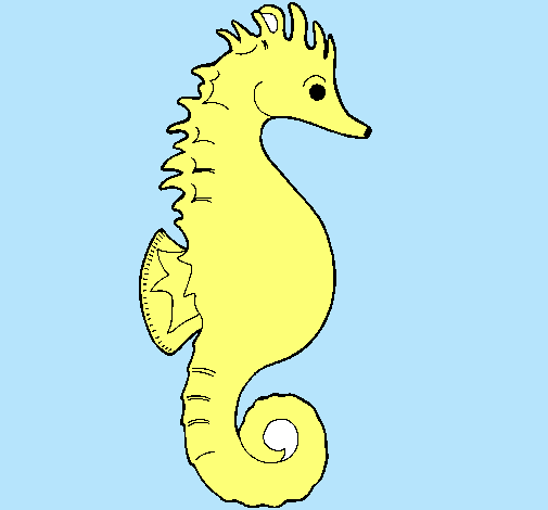 Caballito de mar