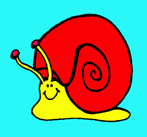 Caracol 