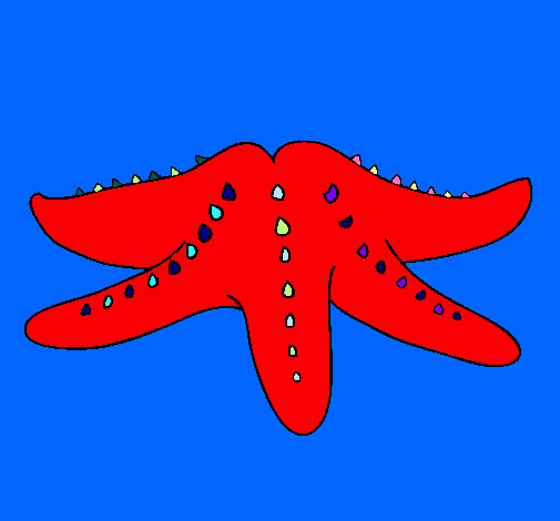 Estrella de mar