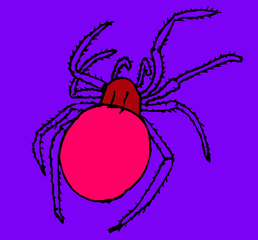 Araña venenosa