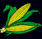 Dibujo Mazorca de maíz pintado por darlyn