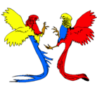 Dibujo Aves con largas colas pintado por isadeyra