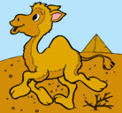 Dibujo Camello pintado por nalu