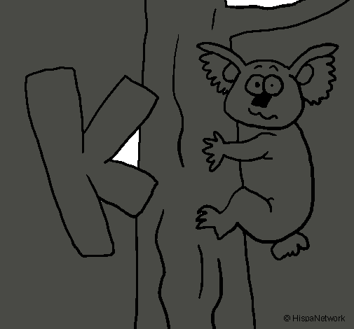 Koala