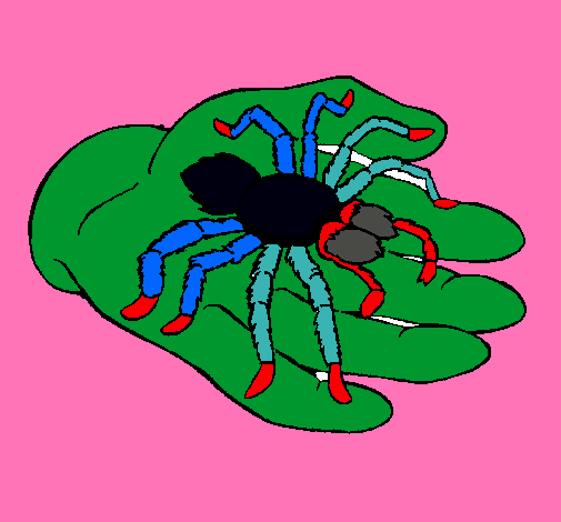 Tarántula