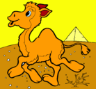 Dibujo Camello pintado por Daniel