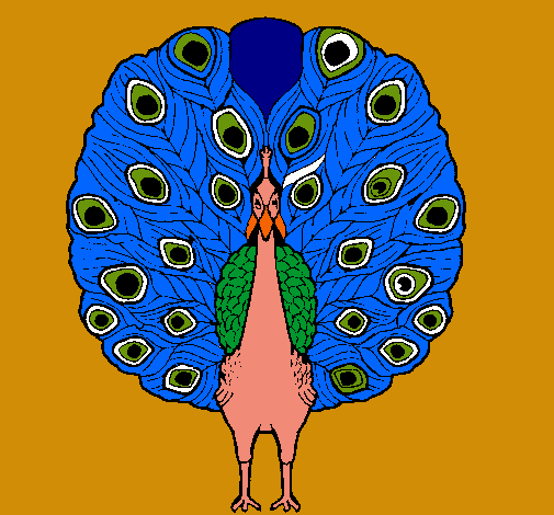 Pavo real