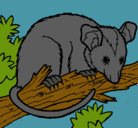 Dibujo Ardilla possum pintado por melenie