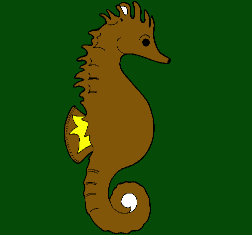 Caballito de mar