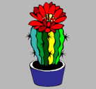 Dibujo Cactus con flor pintado por ANGELES