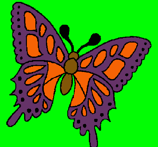 Mariposa