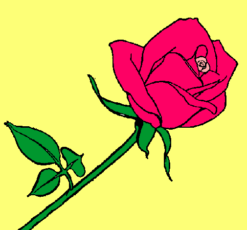 Dibujo Rosa pintado por JIMENAVASQ