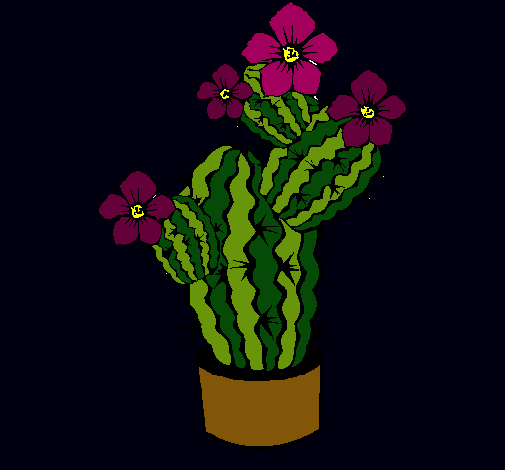 Flores de cactus