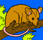 Dibujo Ardilla possum pintado por estefania