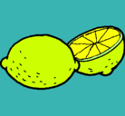 Dibujo limón pintado por jordi 