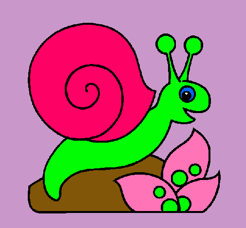 Caracol