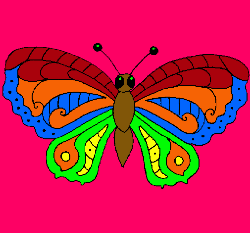 Mariposa