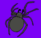 Dibujo Araña venenosa pintado por axel 